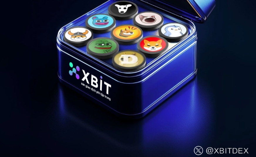 SÀN GIAO DỊCH PHI TẬP TRUNG XBIT DEX CHÀO ĐÓN NHỮNG CƠ HỘI QUẢN LÝ MỚI