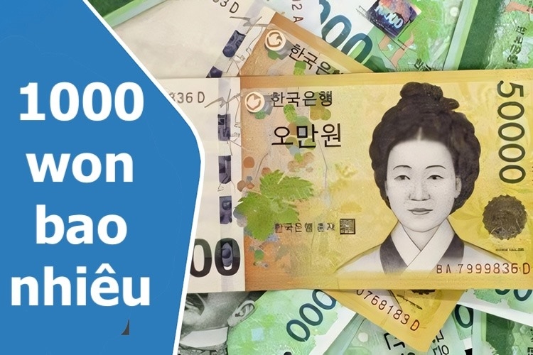 100 Baht, 1000 Won Bằng Bao Nhiêu Tiền Việt? Hướng Dẫn Quy Đổi Ngoại Tệ