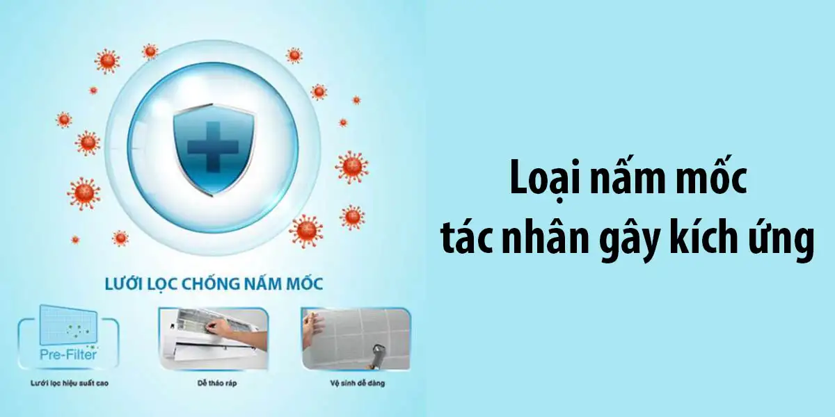 Máy lạnh Toshiba Inverter 1 HP RAS-H10E2KCVG-V