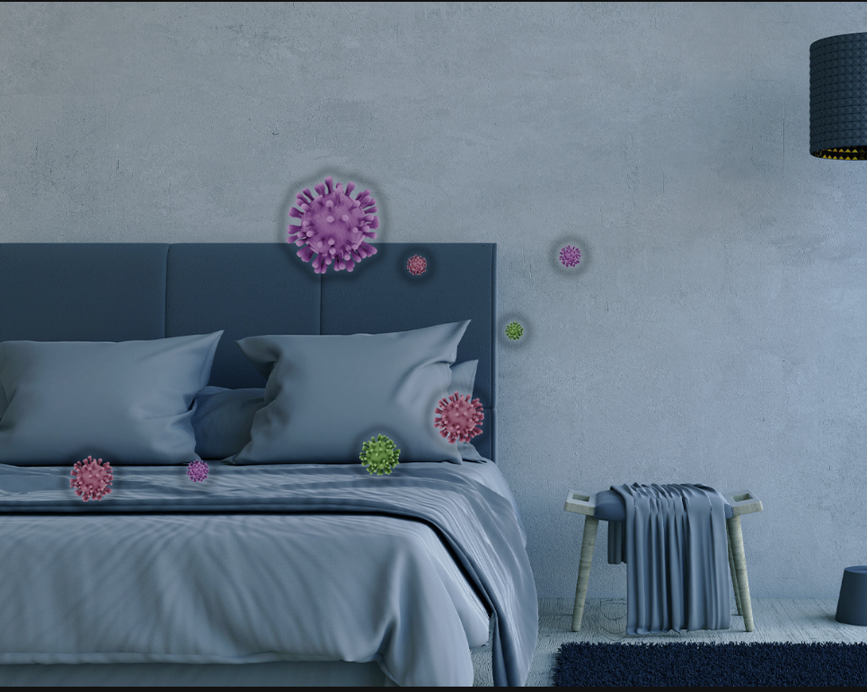 không khí bẩn, bụi và vi khuẩn có thể bám vào giường nệm