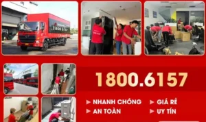 chuyen dan piano e1761478668865